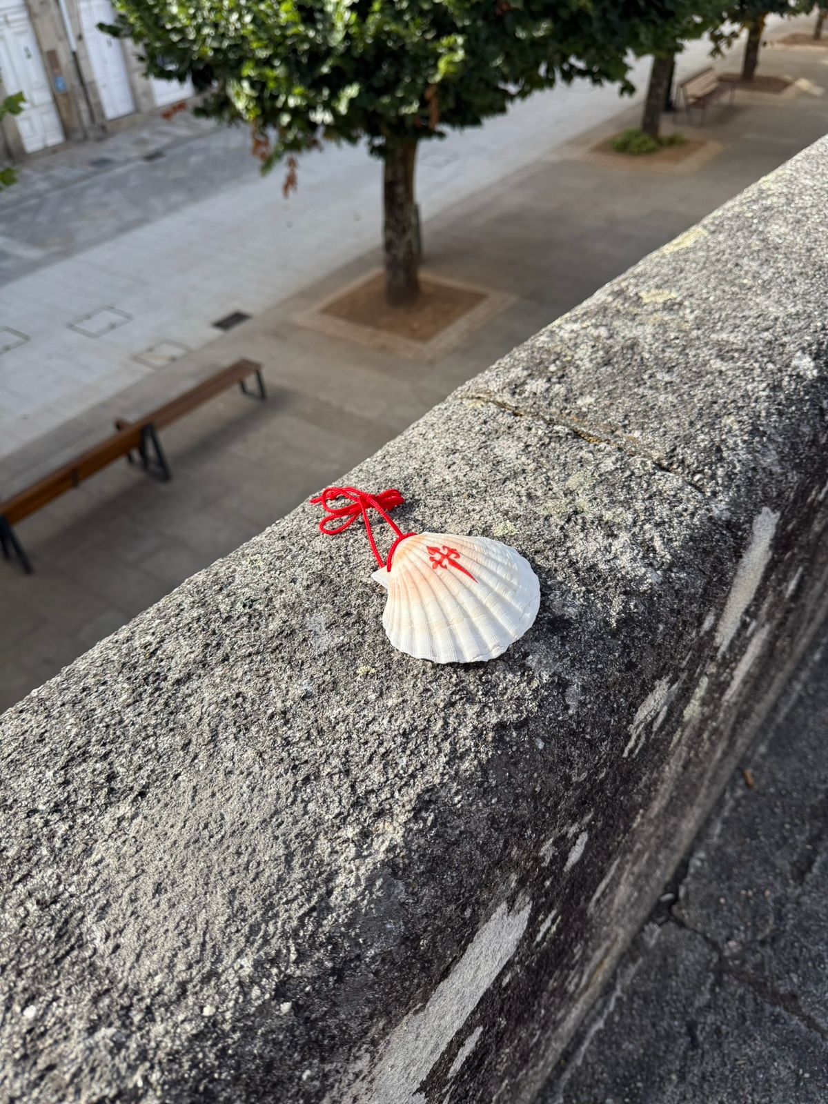 Concha de peregrino com cordão vermelho sobre muro de granito